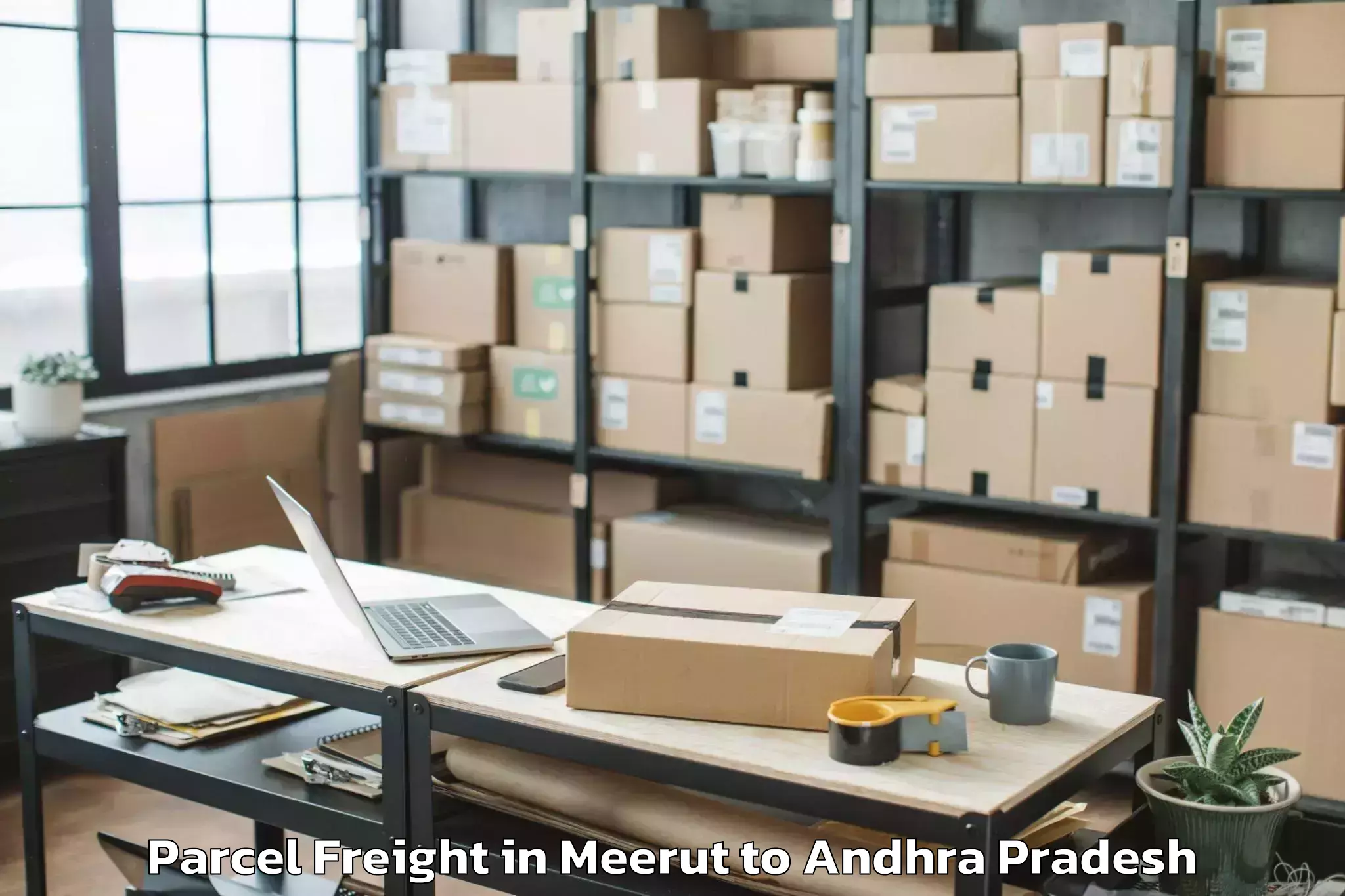 Expert Meerut to Rompicharla Parcel Freight